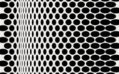 Bridget Circles