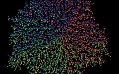 Genuary 26 / 8 - A City of Rainbow People