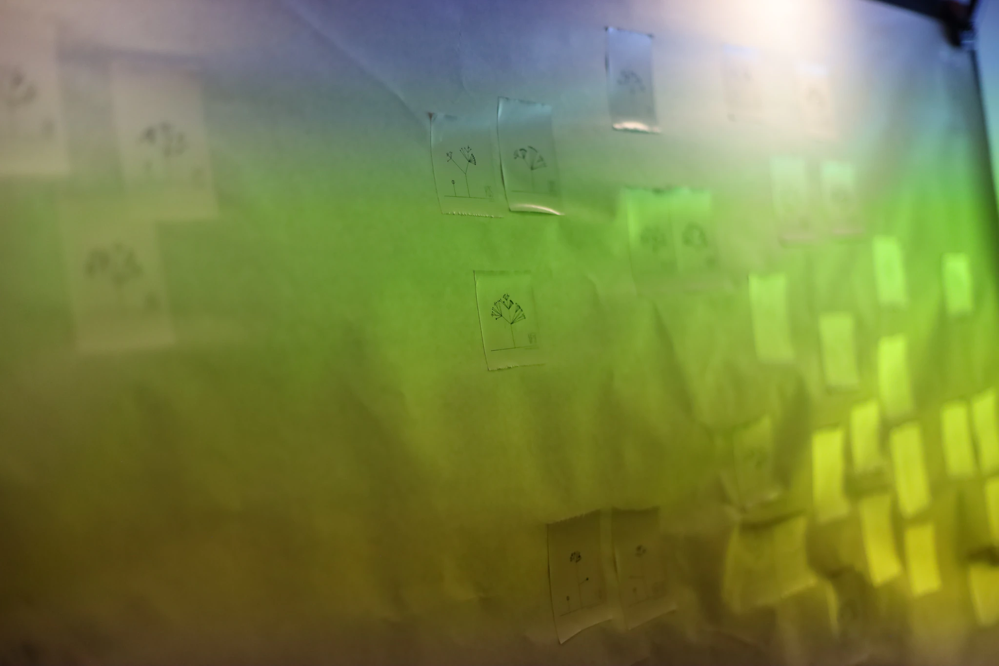 Wall 1